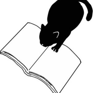 朗読の会　『100万回生きたねこ』とねこの物語